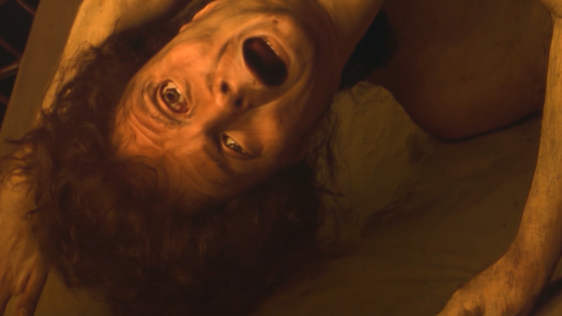 Lech Majewski - Work